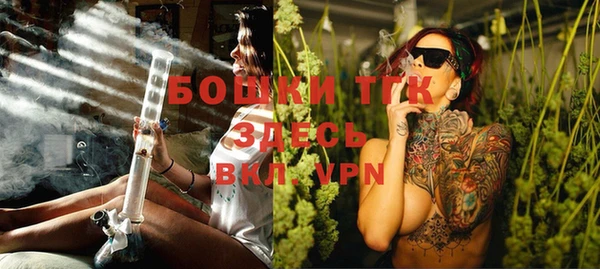 хмурый Касимов