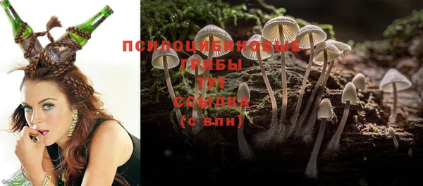 амф Кодинск