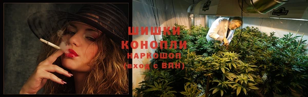 эйфоретик Карпинск