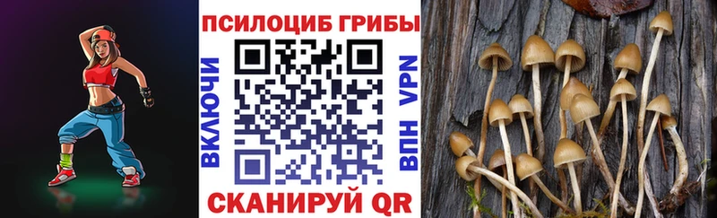 Псилоцибиновые грибы Psilocybe  купить  цена  Котово 